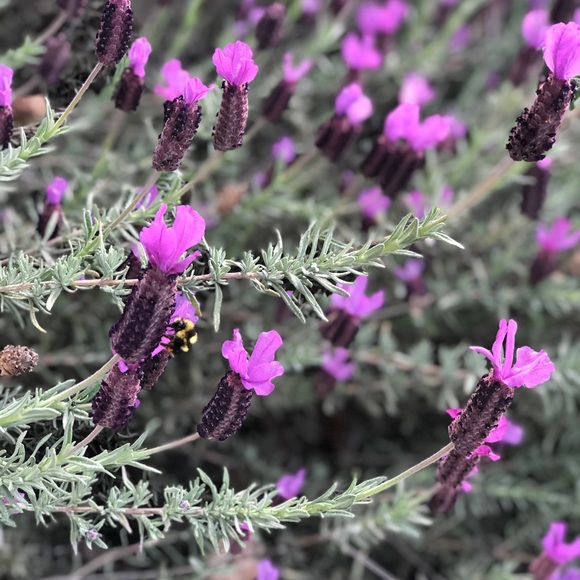 Kool Treasures - Picture 1 of 1